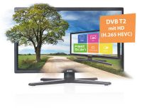 Alden ONELIGHT 65 HD inkl. S.S.C. HD mit Steuermodul und LED TV Ultrawide